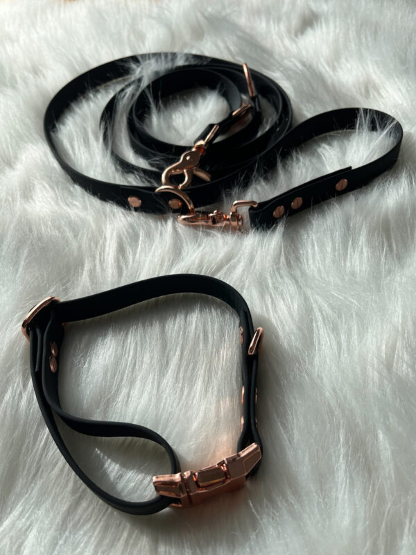 Biothane Leine und Biothane Halsband
