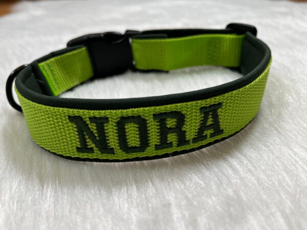 Personalisiertes Halsband