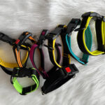 genähtes Halsband aus Softshell und Plastikschnalle