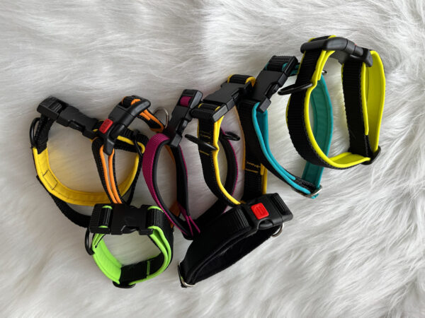 genähtes Halsband aus Softshell und Plastikschnalle