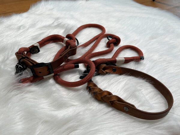 Leinen und Halsband Set aus Tau und Leder