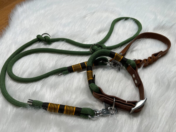 Leinen und Halsband Set aus Tau und Leder