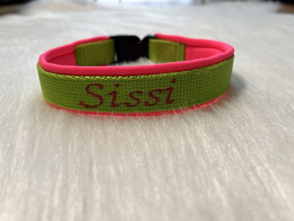 Personalisiertes Halsband