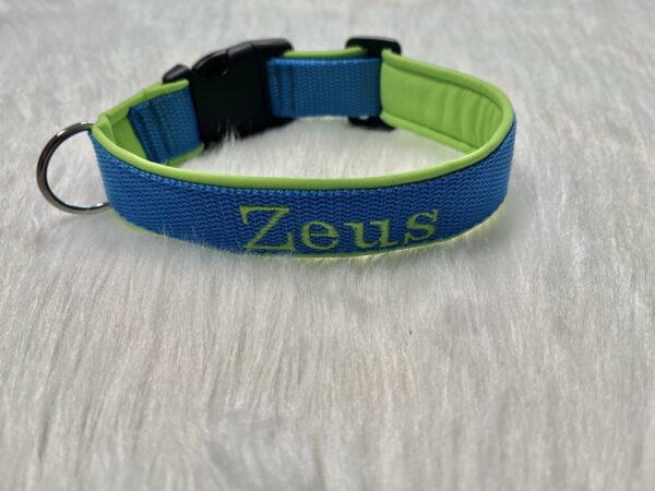 Personalisiertes Halsband