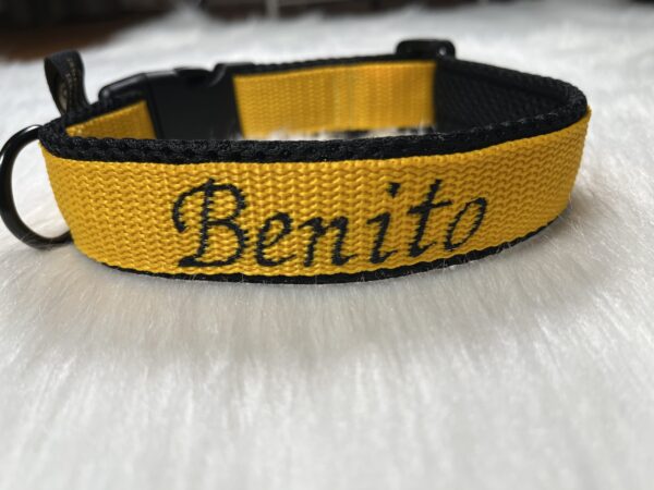 Personalisiertes Halsband