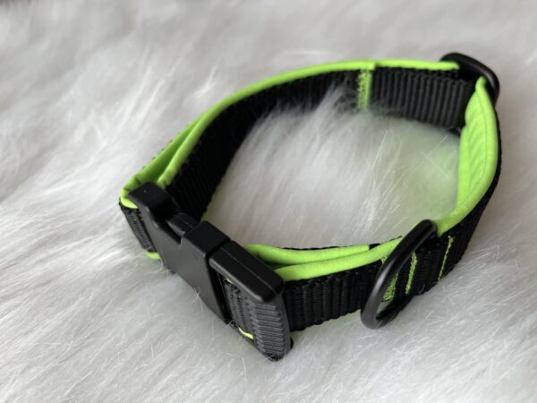 Genähtes Halsband