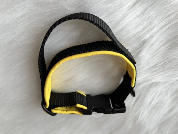 Genähtes Halsband