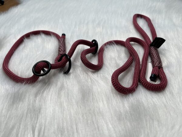 Retrieverleine mit Takelung und Handschlaufe