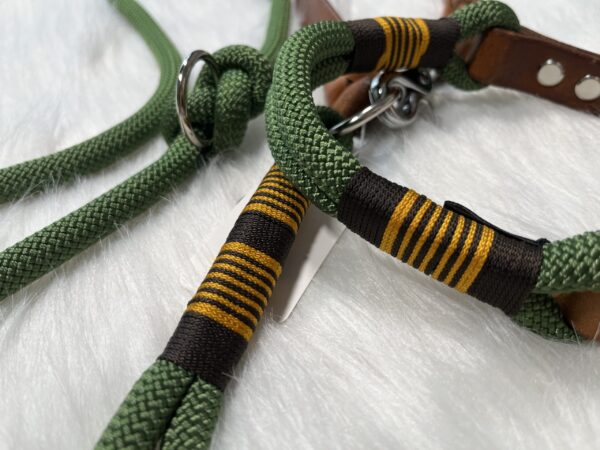 Tauleine mit Takelung und passendem Halsband