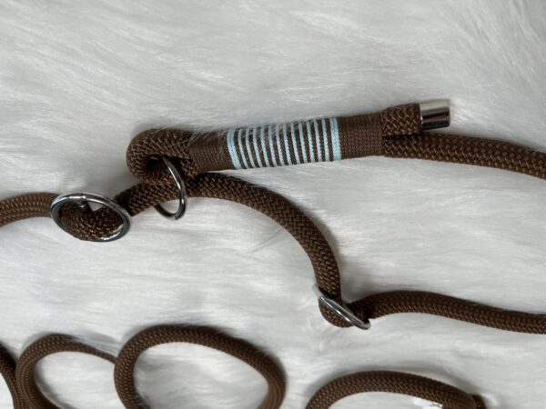 Retrieverleine mit Takelung und Karabiner