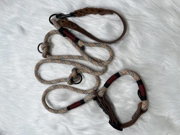 Retrieverleine mit Takelung und Leder-Handschlaufe und dazu passendem Halsband