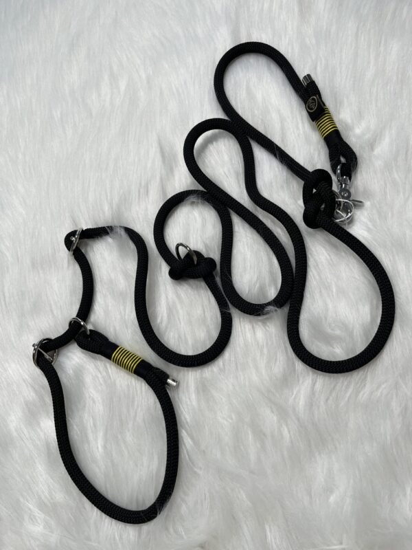 Retrieverleine mit Takelung und 2-fach verstellbaren Karabiner