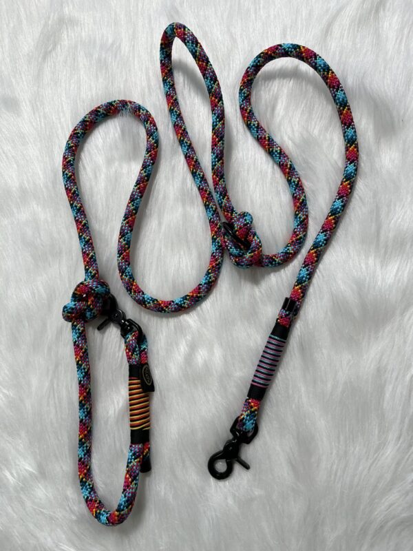 Tauleine mit Takelung und Karabiner