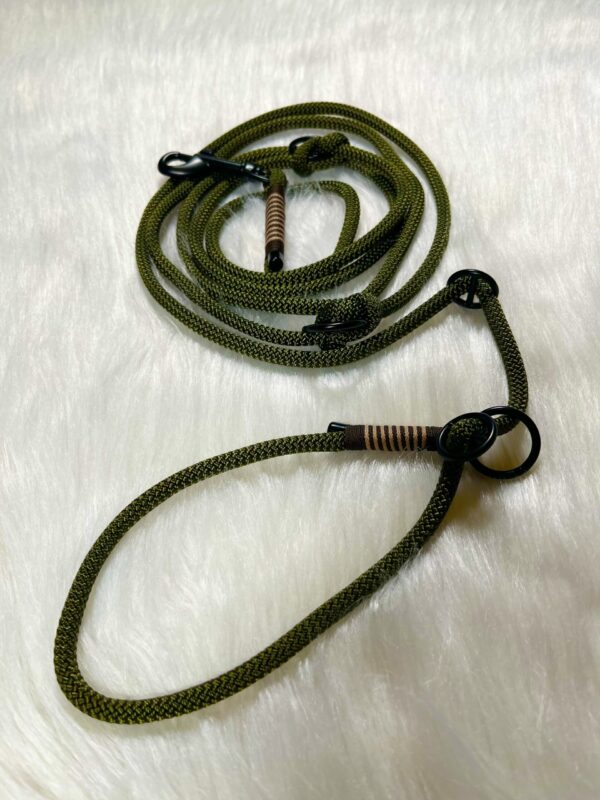 Redrieverleine mit Takelung und Karabiner