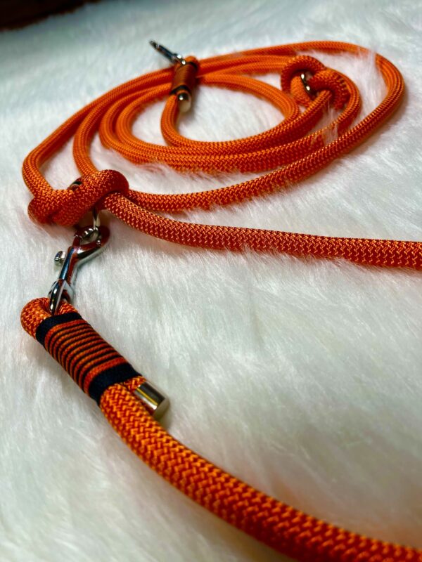 Tauleine mit Takelung und zwei Karabiner