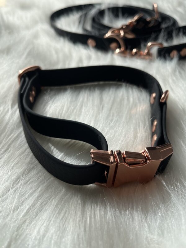 Biothane Halsband
