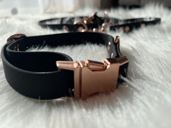 Biothane Halsband