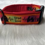 Genähtes Halsband