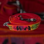 Genähte Leine mit Webband