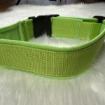 genähtes Halsband