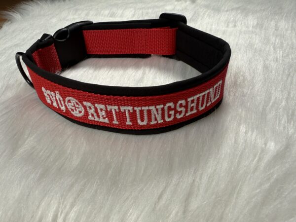 personalisiertes Halsband