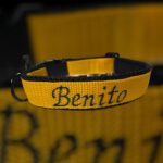 personalisiertes Halsband