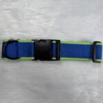 genähtes Halsband