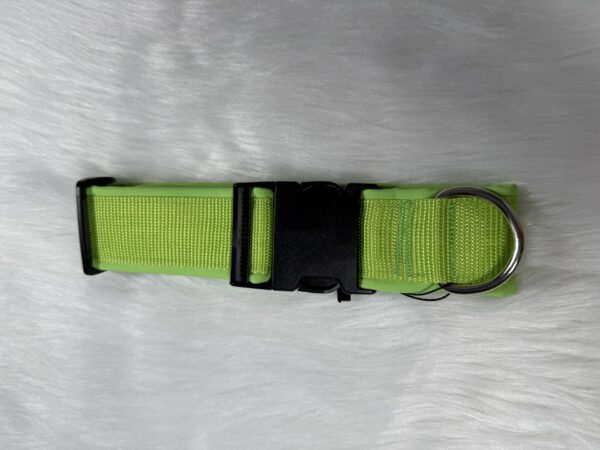 genähtes Halsband
