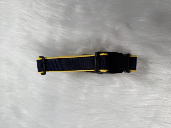 genähtes Halsband