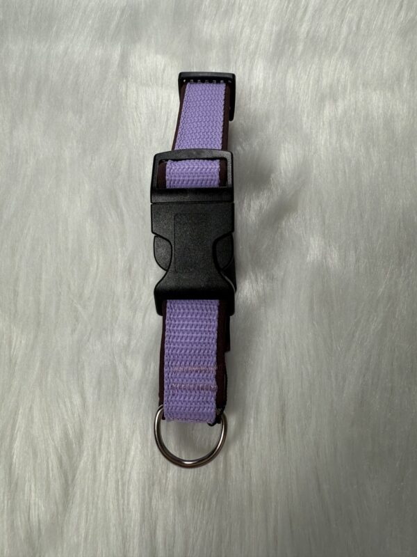 genähtes Halsband
