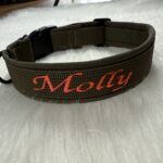 personalisiertes Halsband