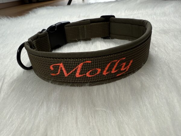personalisiertes Halsband