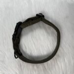 personalisiertes Halsband