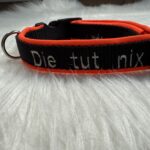 personalisiertes Halsband