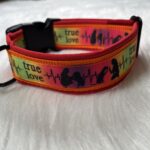 genähtes Halsband