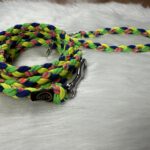 Paracord Leine