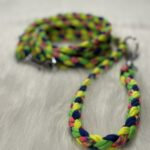 Paracord Leine