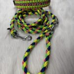 Paracord Leine