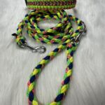 Paracord Halsband und Leine