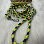 Paracord Halsband und Leine