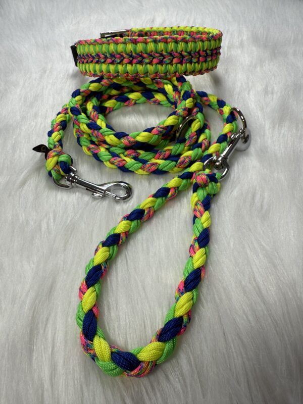 Paracord Halsband und Leine