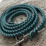 Paracord Leine