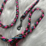 Paracord Leine