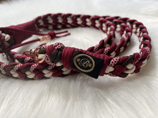 Paracord Leine