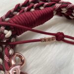 Paracord Leine