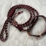 Paracord Leine