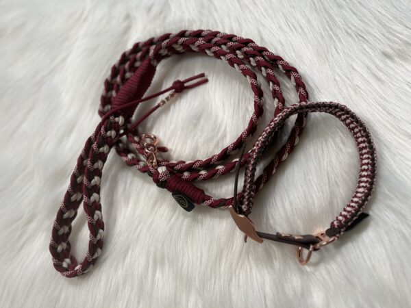 Paracord Leine