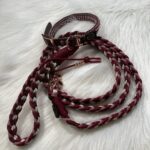 Paracord Leine