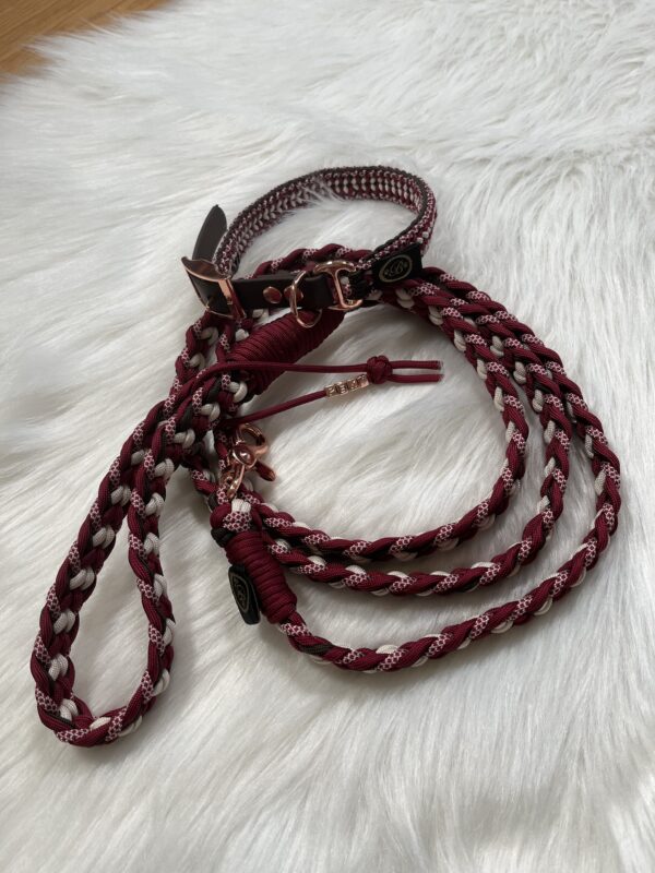 Paracord Leine