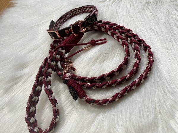 Paracord Leine